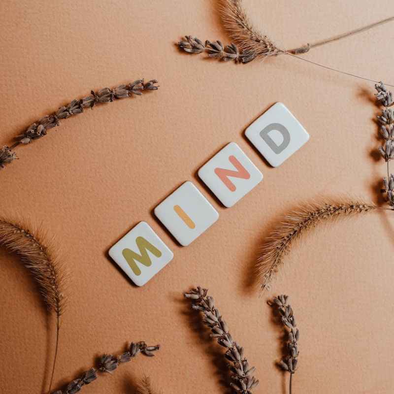 Project | MIND – The Master Mind: The Power of Aligned Minds and Its Implication&nbsp;[7/7]